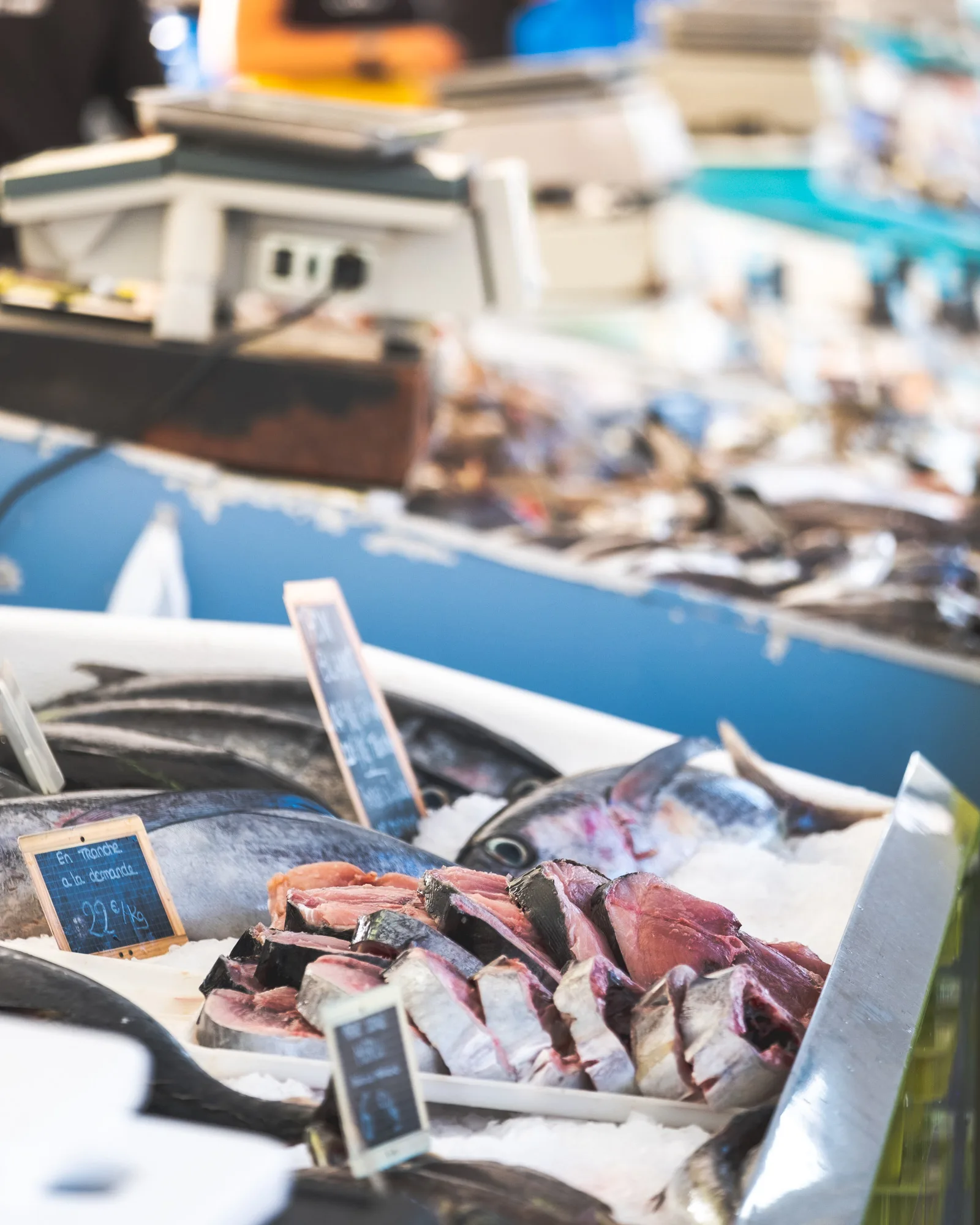 Du pêcheur au consommateur directement. Du circuit court au marché au poissons de Capbreton
