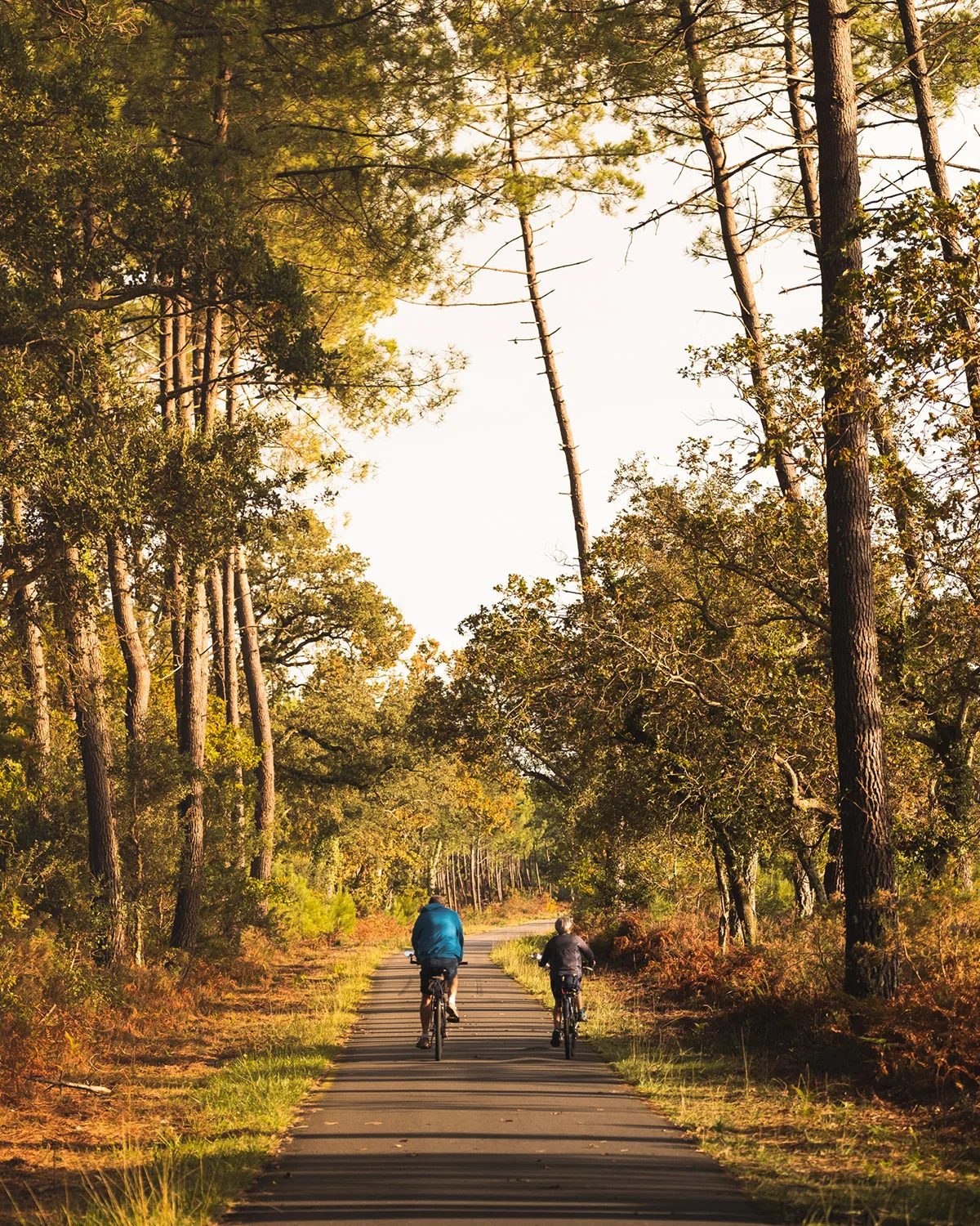 Promenade à vélo au quotidien à Soustons