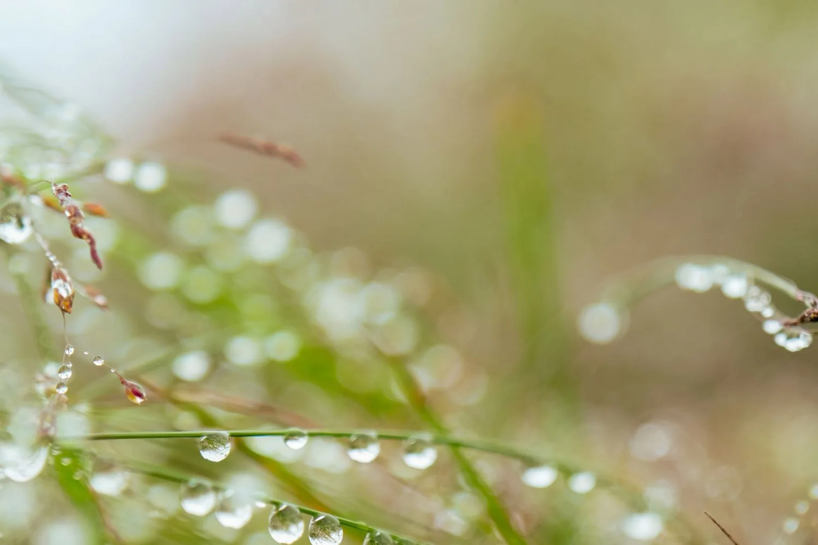 Que faire quand il pleut ?