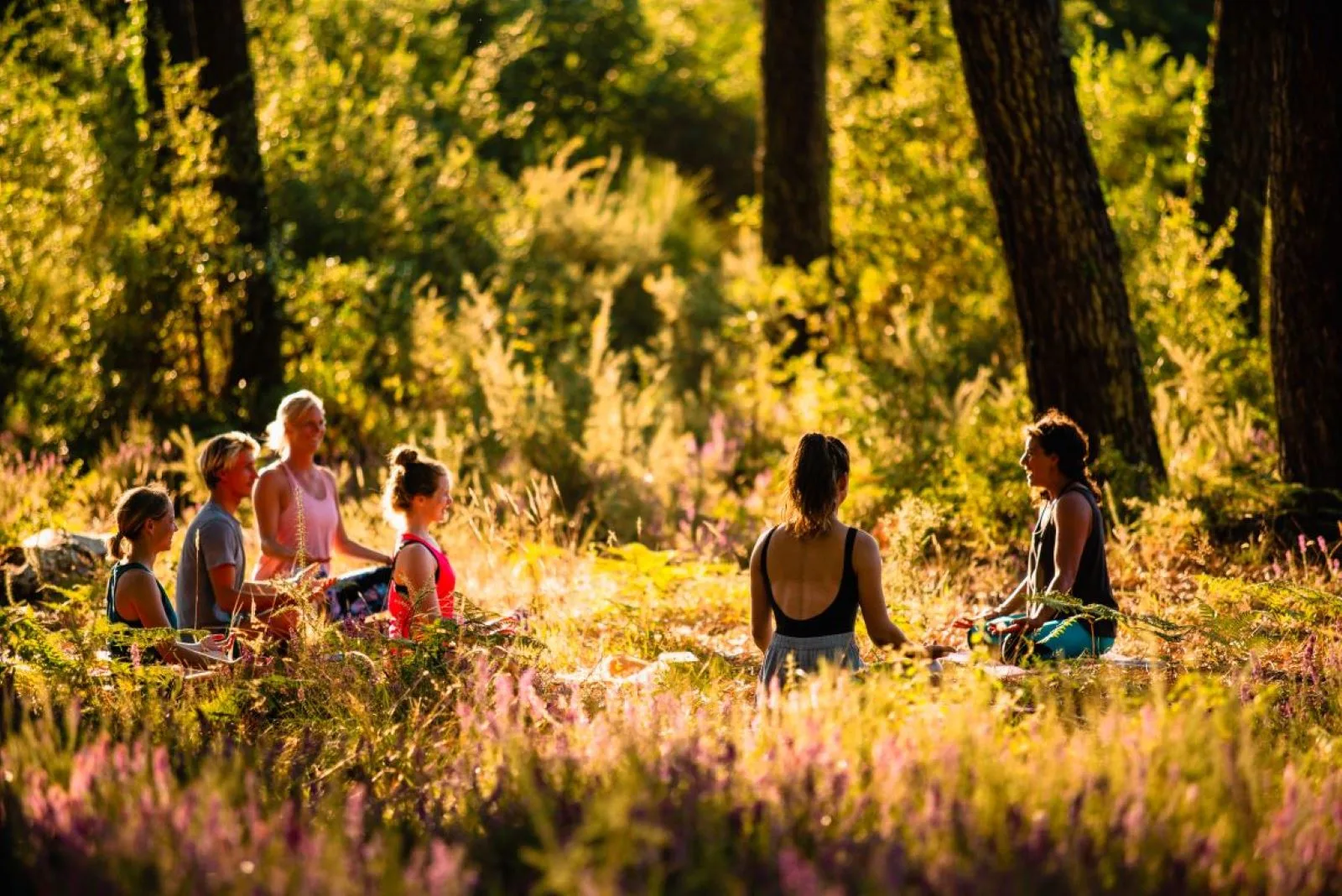 Yoga en forêt