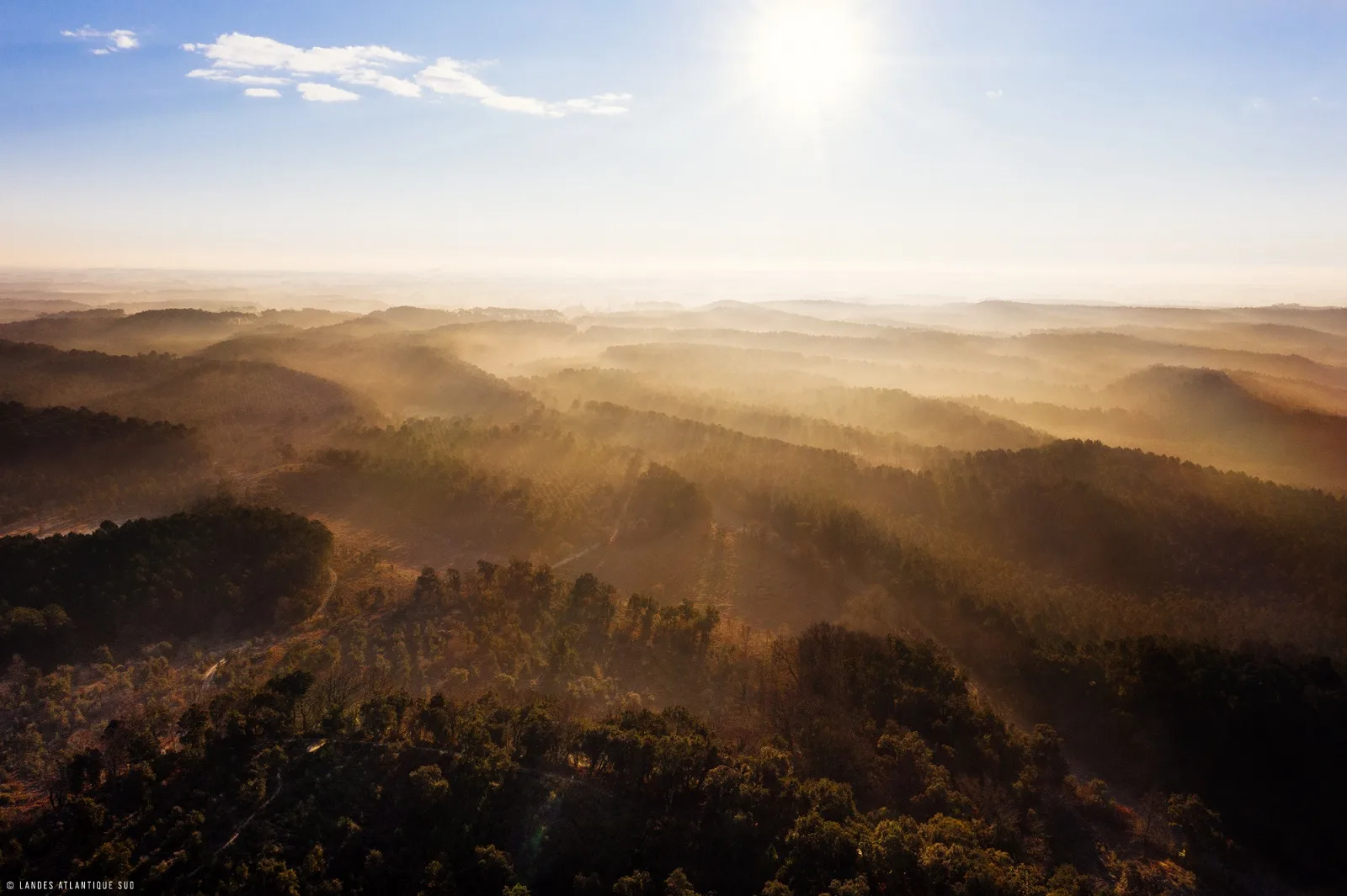 Foret landaise vue du ciel