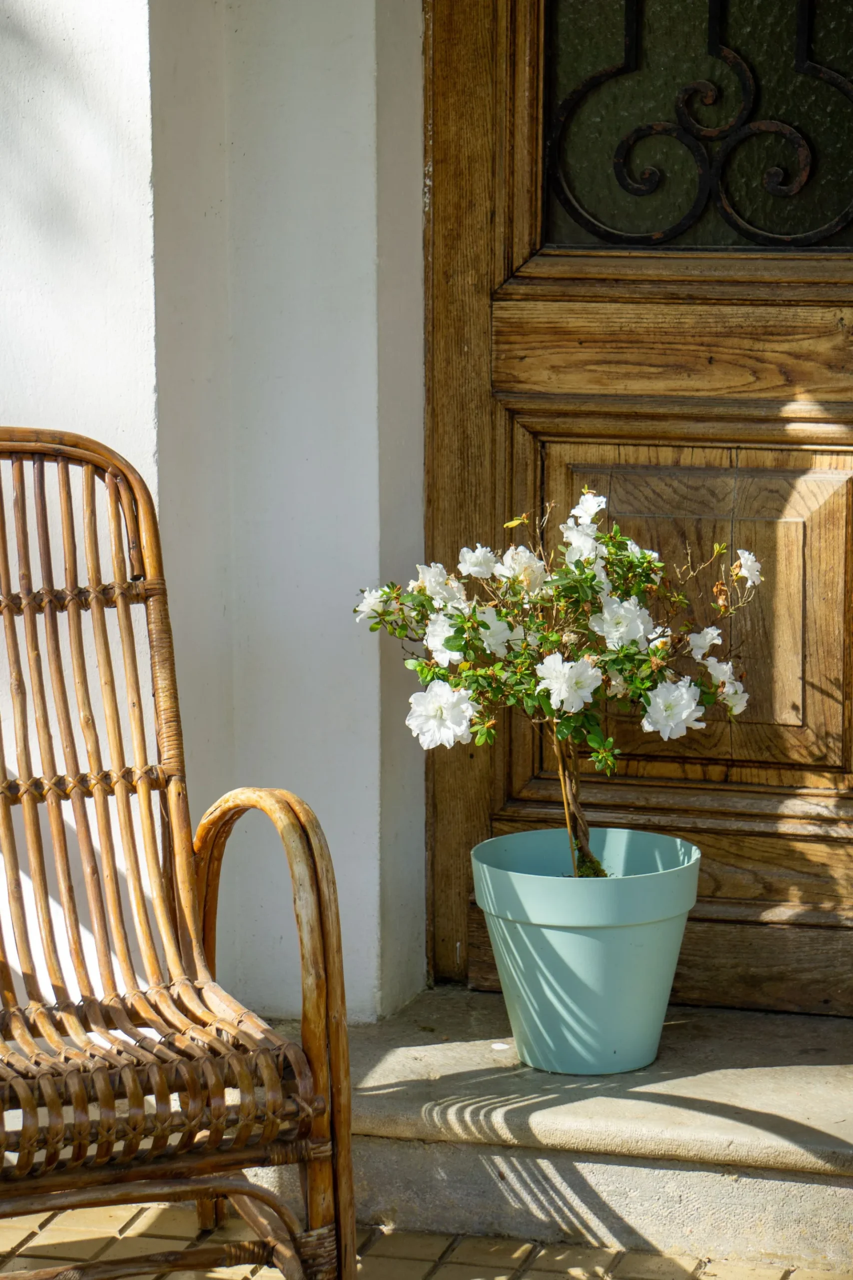 Entrée d'une charmante maison d'hôtes à Soustons, le Clos de Millon.
