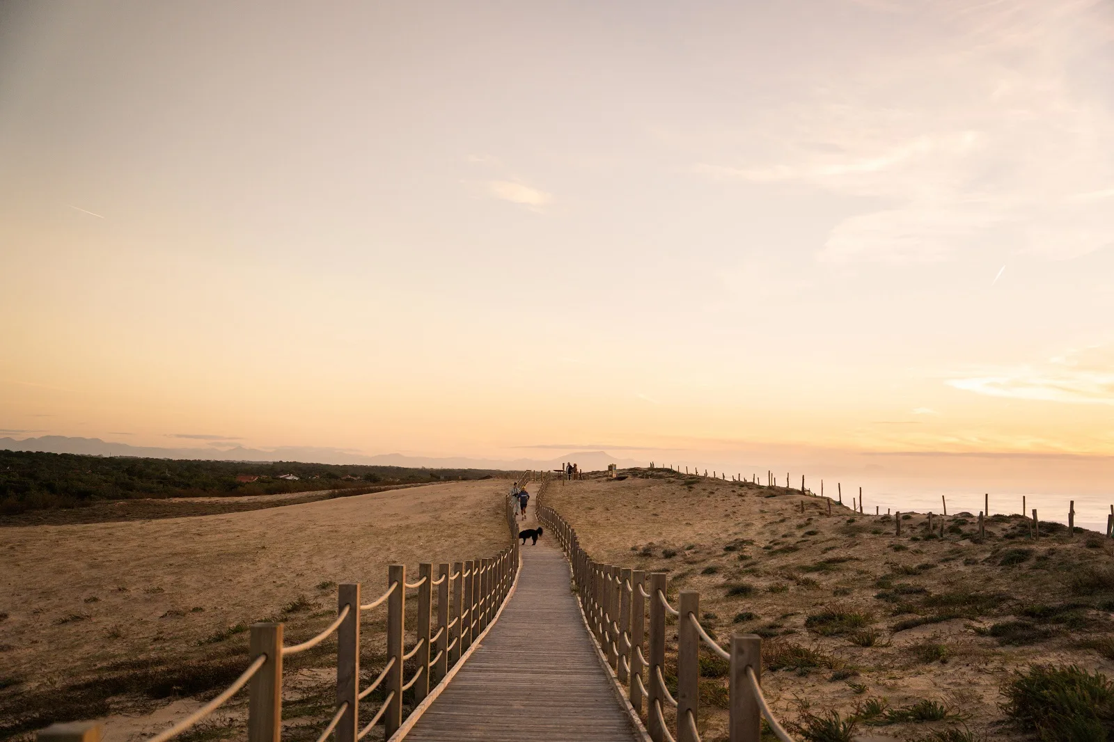 Promenade avec vue au bord de l'océan à Labenne