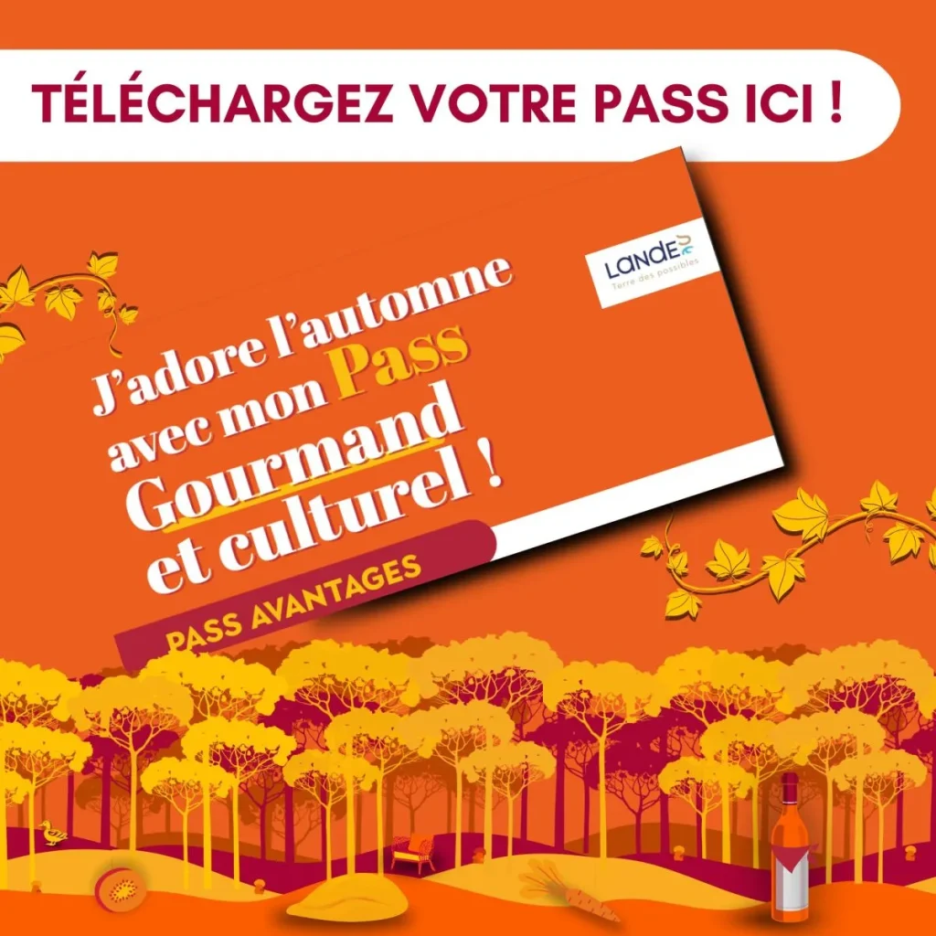 Visuel automne gourmand landes