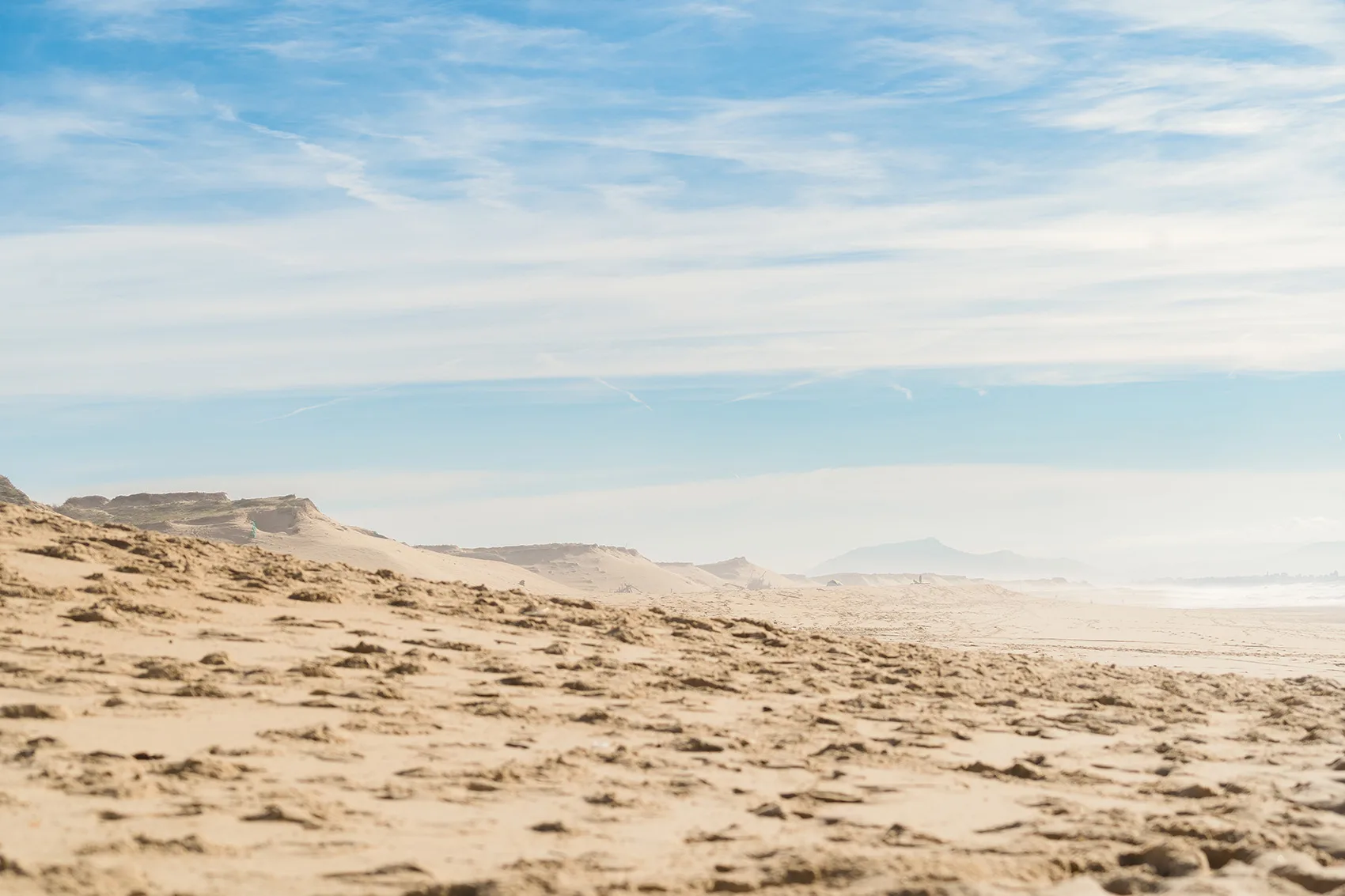 Un sapin pour la dune