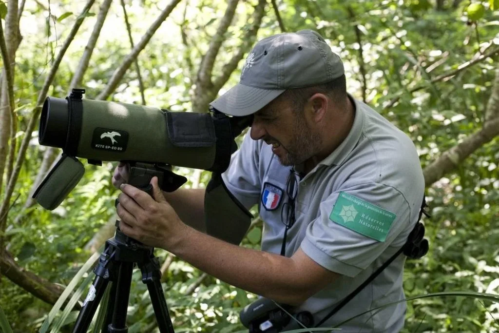 garde de la réserve du marais d'Orx en pleine exploration de la nature dans les Landes