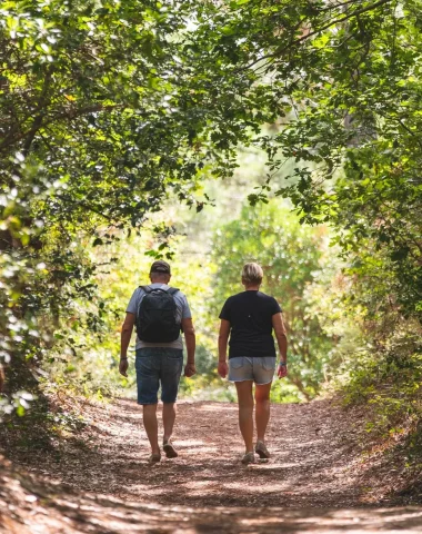Randonnée en forêt à Moliets-et-Maâ