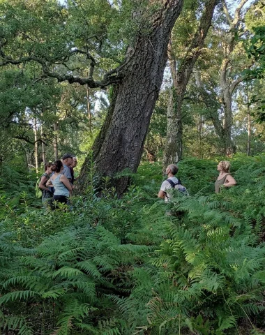 sortie botanique avec la bot a marion dans les landes