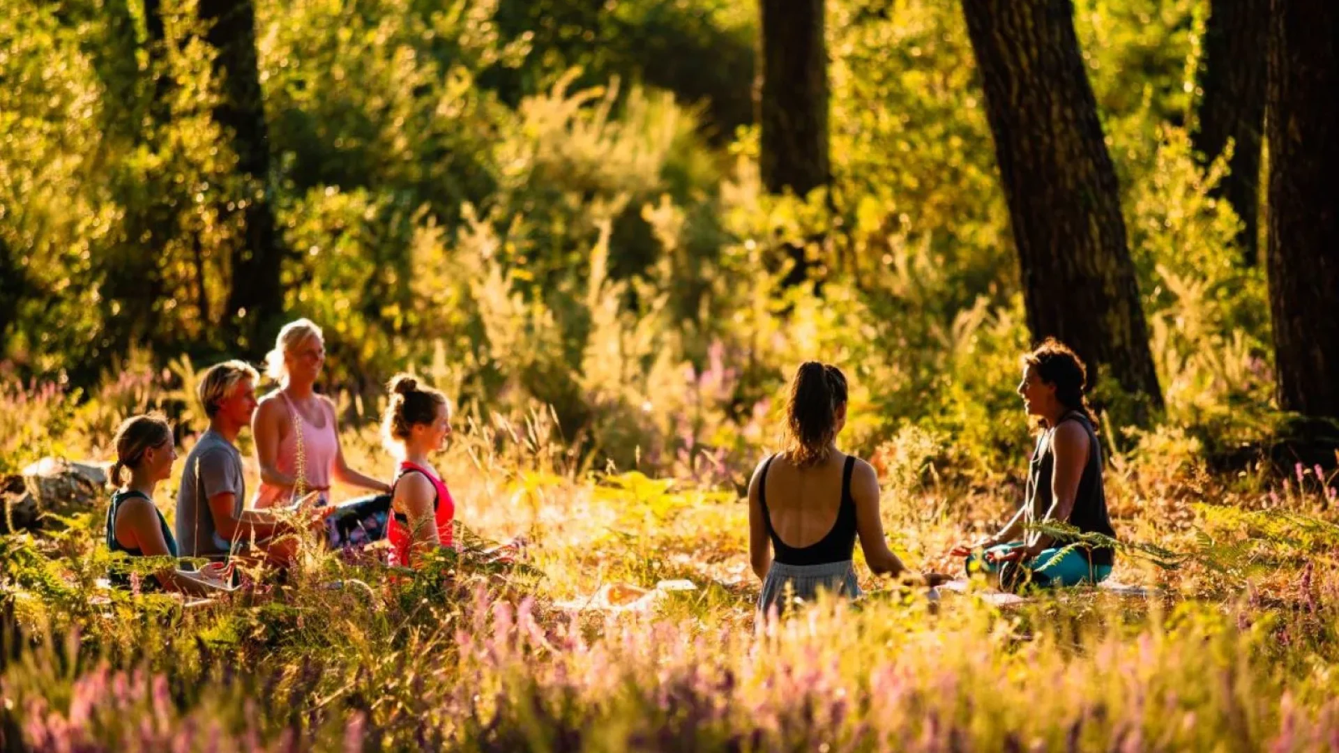 Yoga en forêt