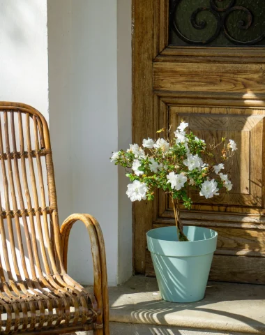 Entrée d'une charmante maison d'hôtes à Soustons, le Clos de Millon.