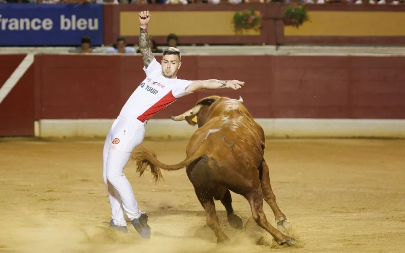 Le recorte aux arènes de Vieux-Boucau