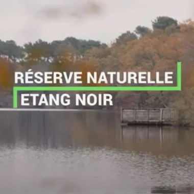 Etang noir à Seignosse