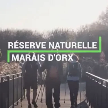 Marais d'Orx à Labenne