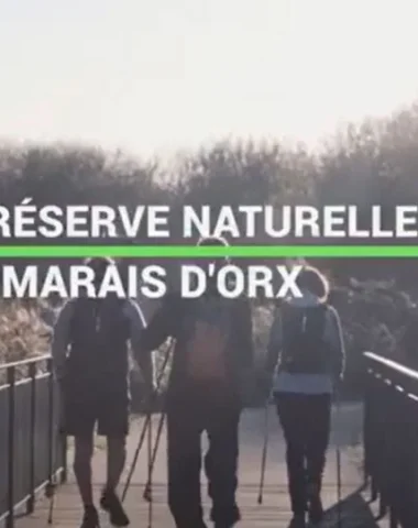 Marais d'Orx à Labenne