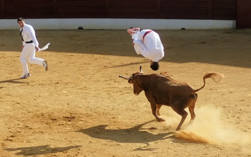 Ccourse landaise mixte capbreton