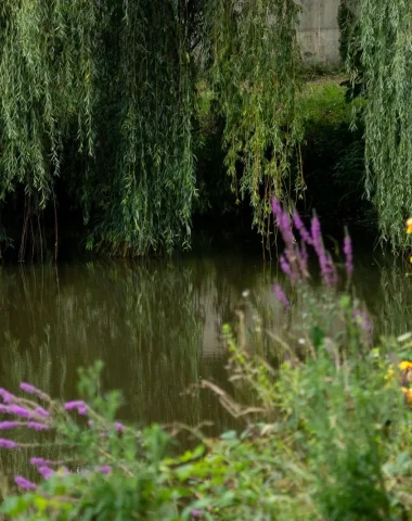 Etang du village d'Orx