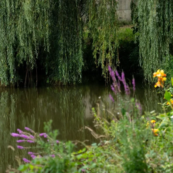 Etang du village d'Orx