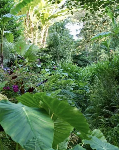 jardin des Barthes à Saubrigues, dans les Landes, rendez-vous aux jardins