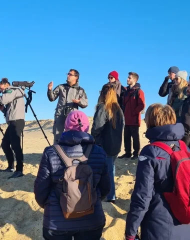 visite-guidee-reserve-naturelle-courant-huchet-moliets-landes