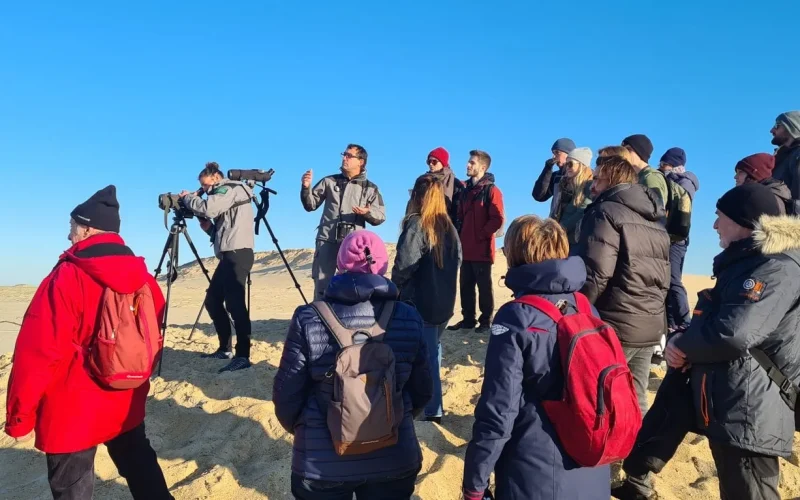 visite-guidee-reserve-naturelle-courant-huchet-moliets-landes