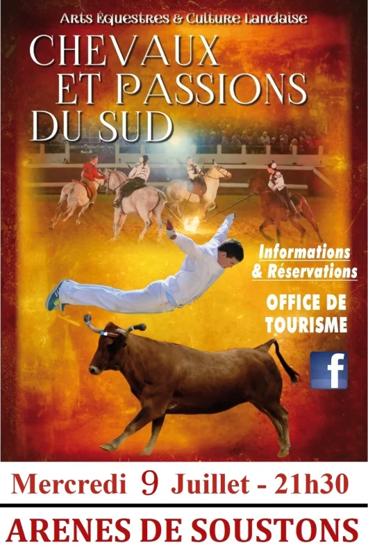 Chevaux et passions du sud 2025