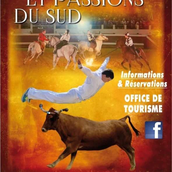 Chevaux et passions du sud 2025