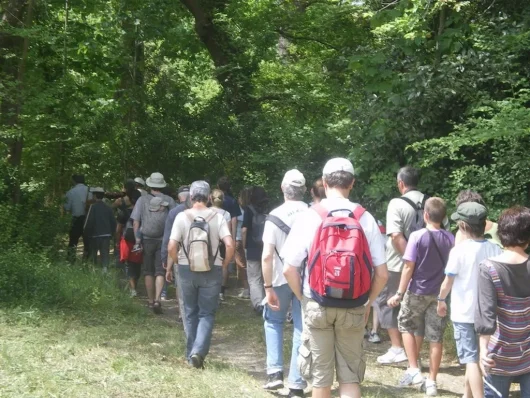 groupe de randonneurs qui partent en randonnée pédestre à Moliets-et-Maâ dans les Landes