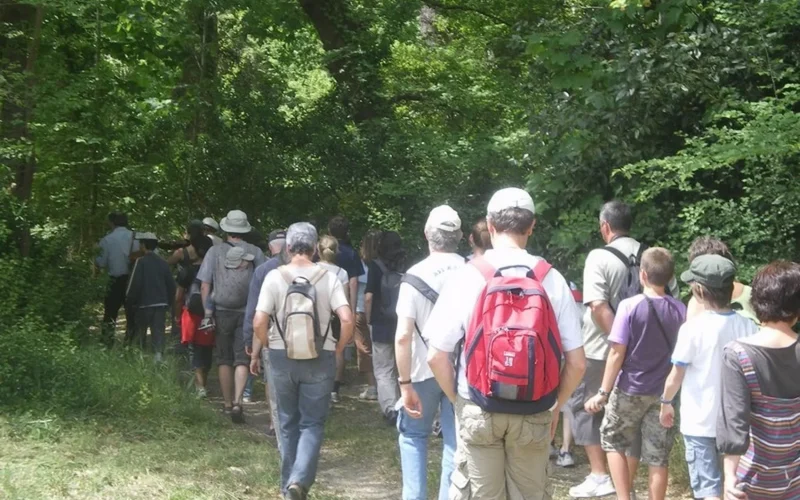 groupe de randonneurs qui partent en randonnée pédestre à Moliets-et-Maâ dans les Landes