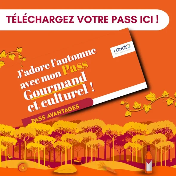 Visuel automne gourmand landes