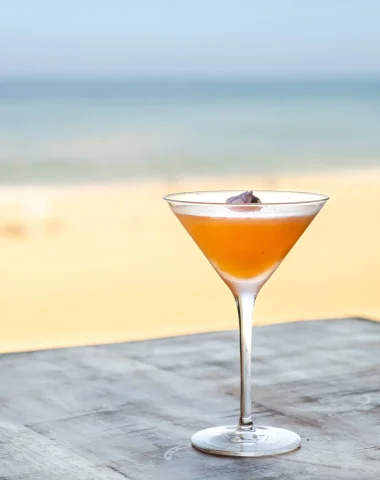 Un cocktail en terrasse à Hossegor avec vue sur l'Océan