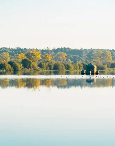 vue de l'étang de la réserve naturelle du marais d'orx à labenne