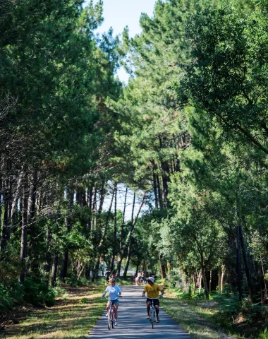 Voie verte en forêt à Vieux-Boucau