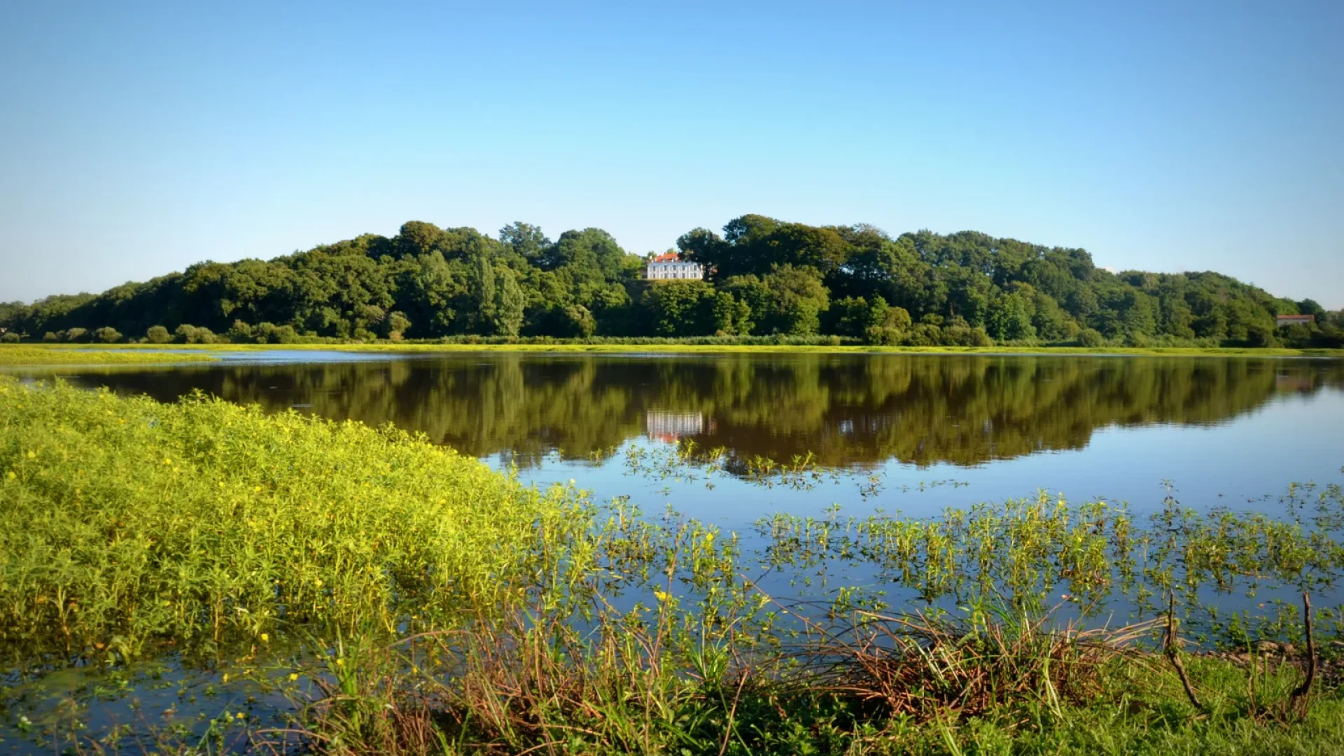 le marais d'orx à Labenne