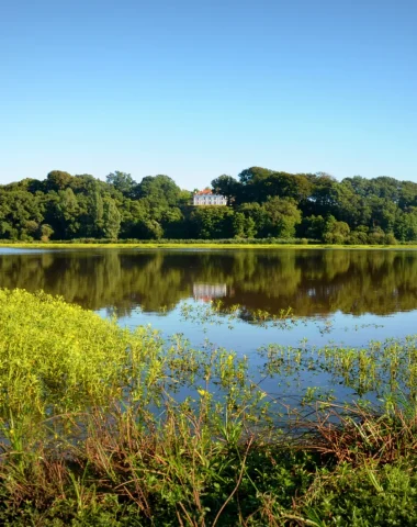 le marais d'orx à Labenne