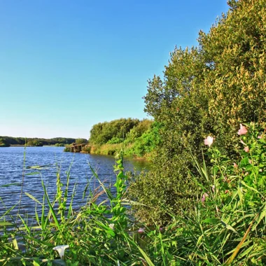 Où pêcher à Messanges ?