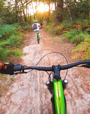 VTT sur les chemins en foret vélo
