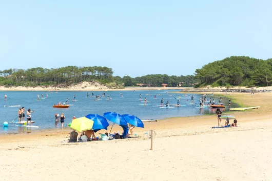 Der überwachte Strand des Meeressees, Wasservögel, in Soustons Plage