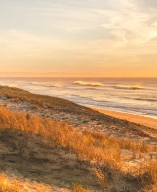 plage sauvage à soustons dans les landes