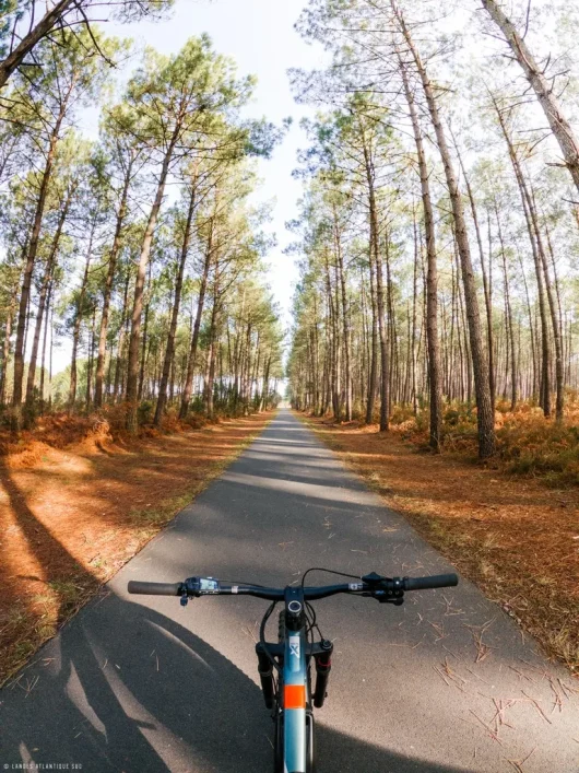 Locations de vélo à Messanges