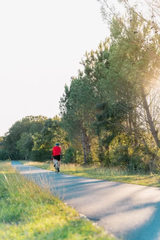 Locations de vélo à Messanges