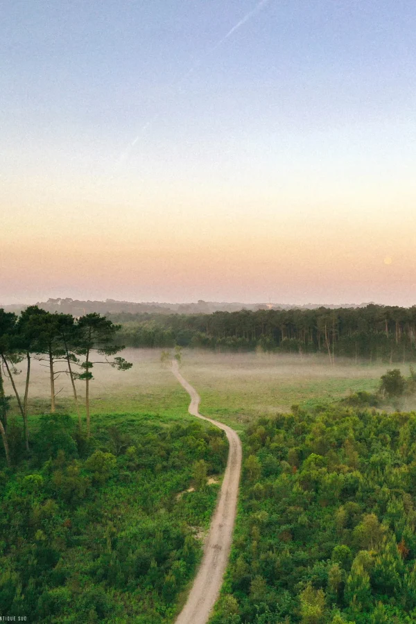 Vue aérienne du levé du soleil sur la forêt de Labenne.