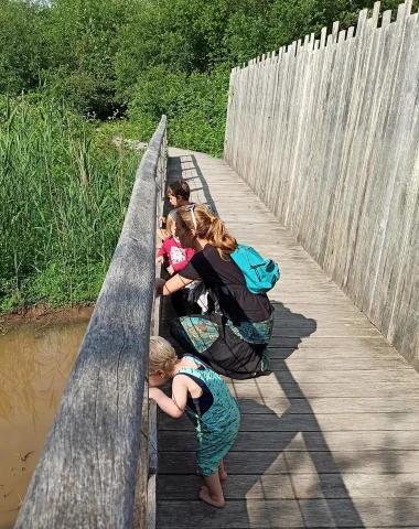La découverte du marais d'orx et de sa faune et flore protégée dès le plus jeune âge