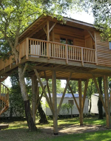 Perché en haut d'un arbre, une expérience unique à vivre en famille dans un camping dans le sud des landes